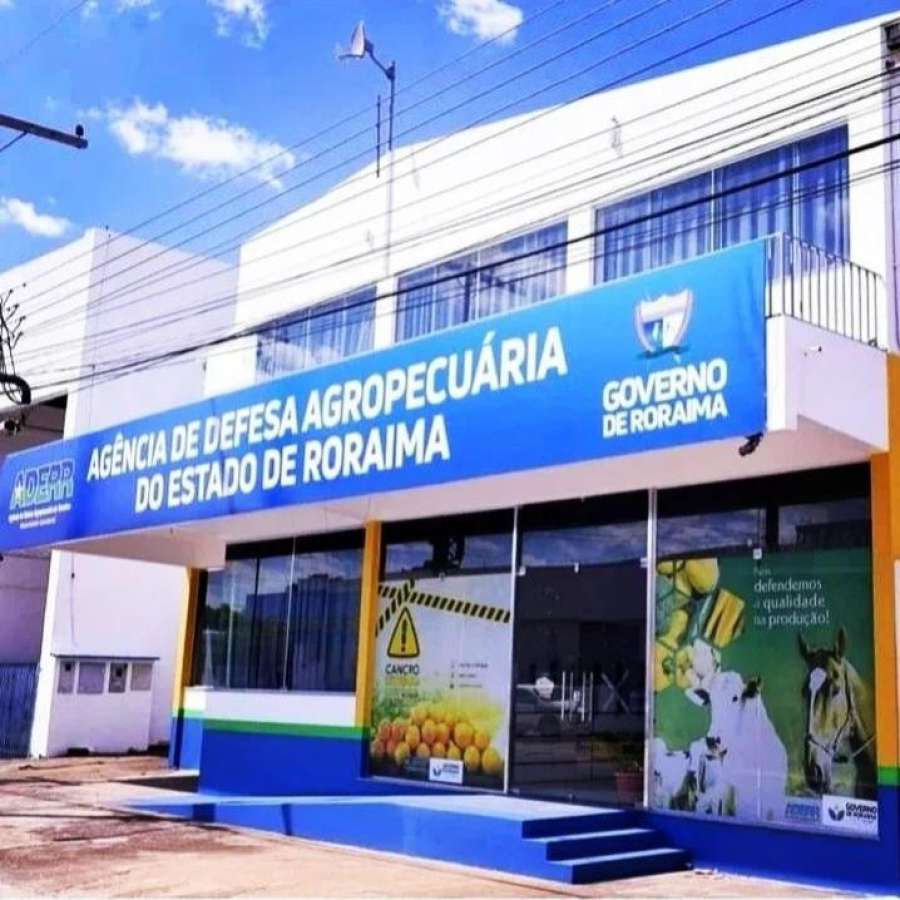 Campanha de atualização de rebanhos começa em 1º de outubro em Roraima