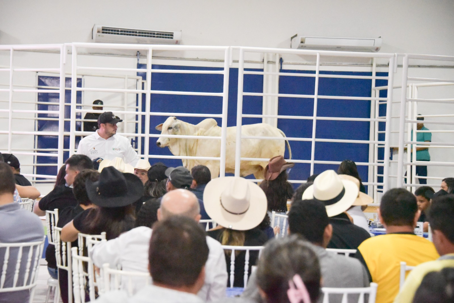 Expoferr Show 2025 deve movimentar mais de R$ 5 milhões em leilões