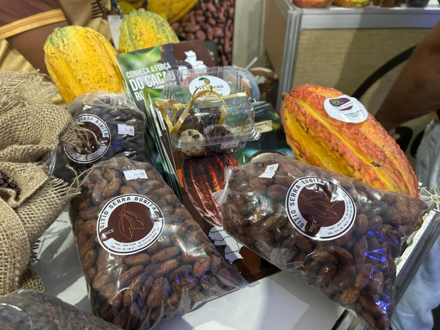 Cacau amazônico ganha destaque na Expoferr e impulsiona agricultura familiar em Roraima