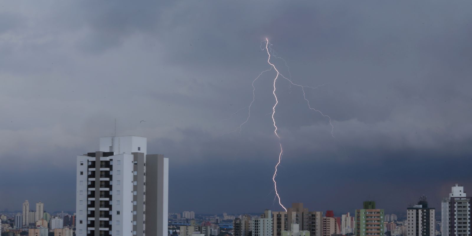 SP registra desabamentos e quedas de árvore por chuva forte