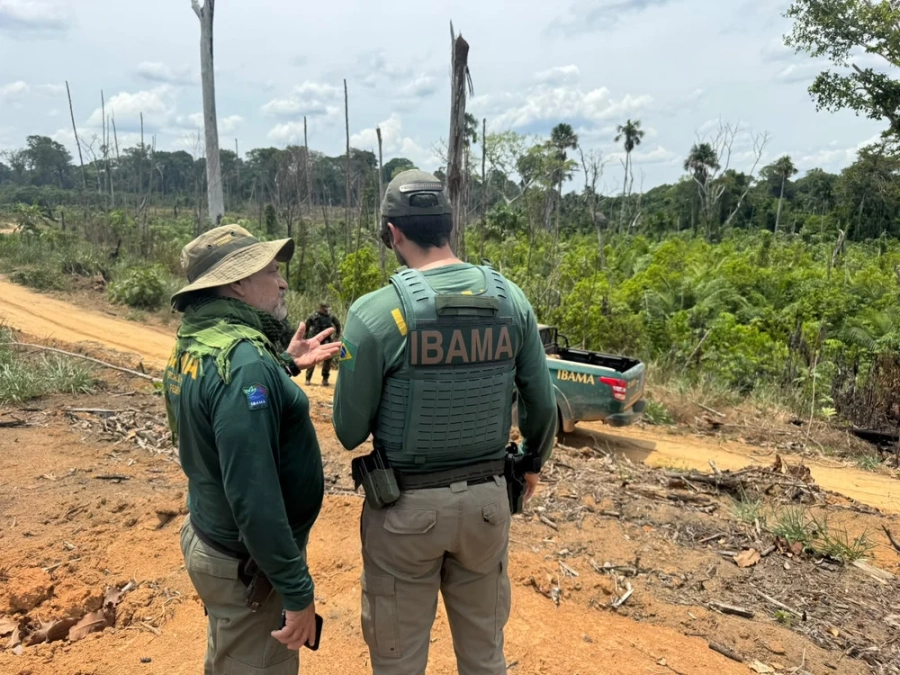 Ibama inicia operação contra incêndios florestais em Roraima